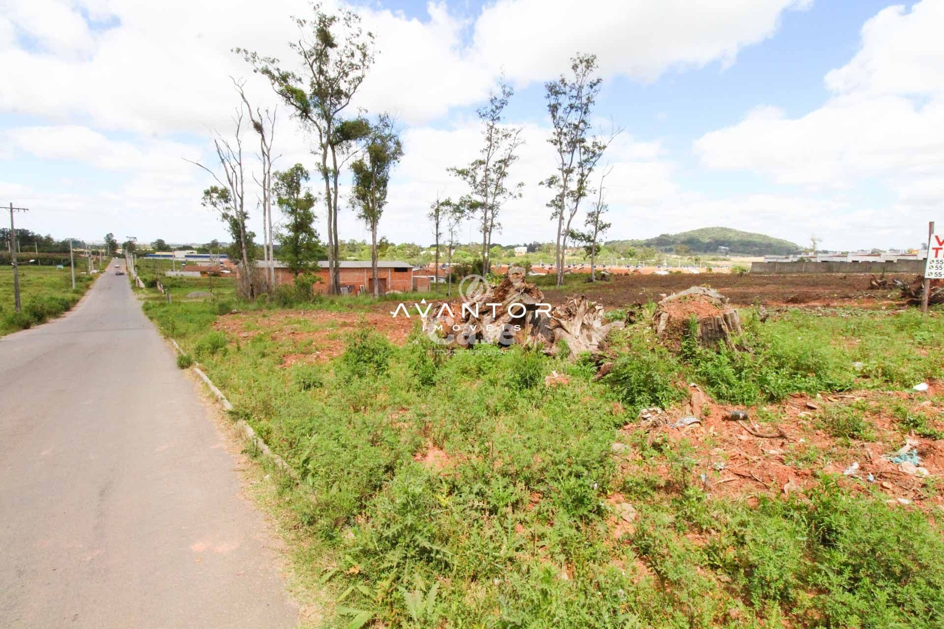 Terreno à venda em Diácono João Luiz Pozzobon, Santa Maria/RS — foto 3 de 5