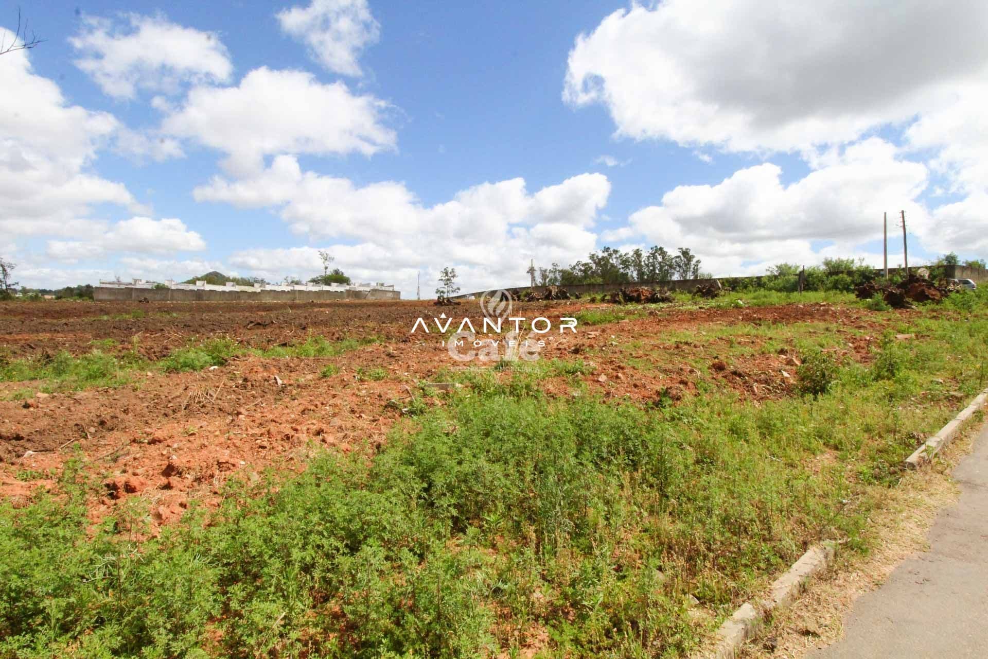 Terreno à venda em Diácono João Luiz Pozzobon, Santa Maria/RS — foto 4 de 5