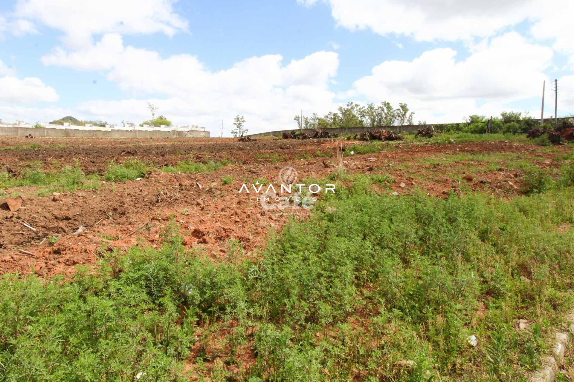 Terreno à venda em Diácono João Luiz Pozzobon, Santa Maria/RS — foto 5 de 5