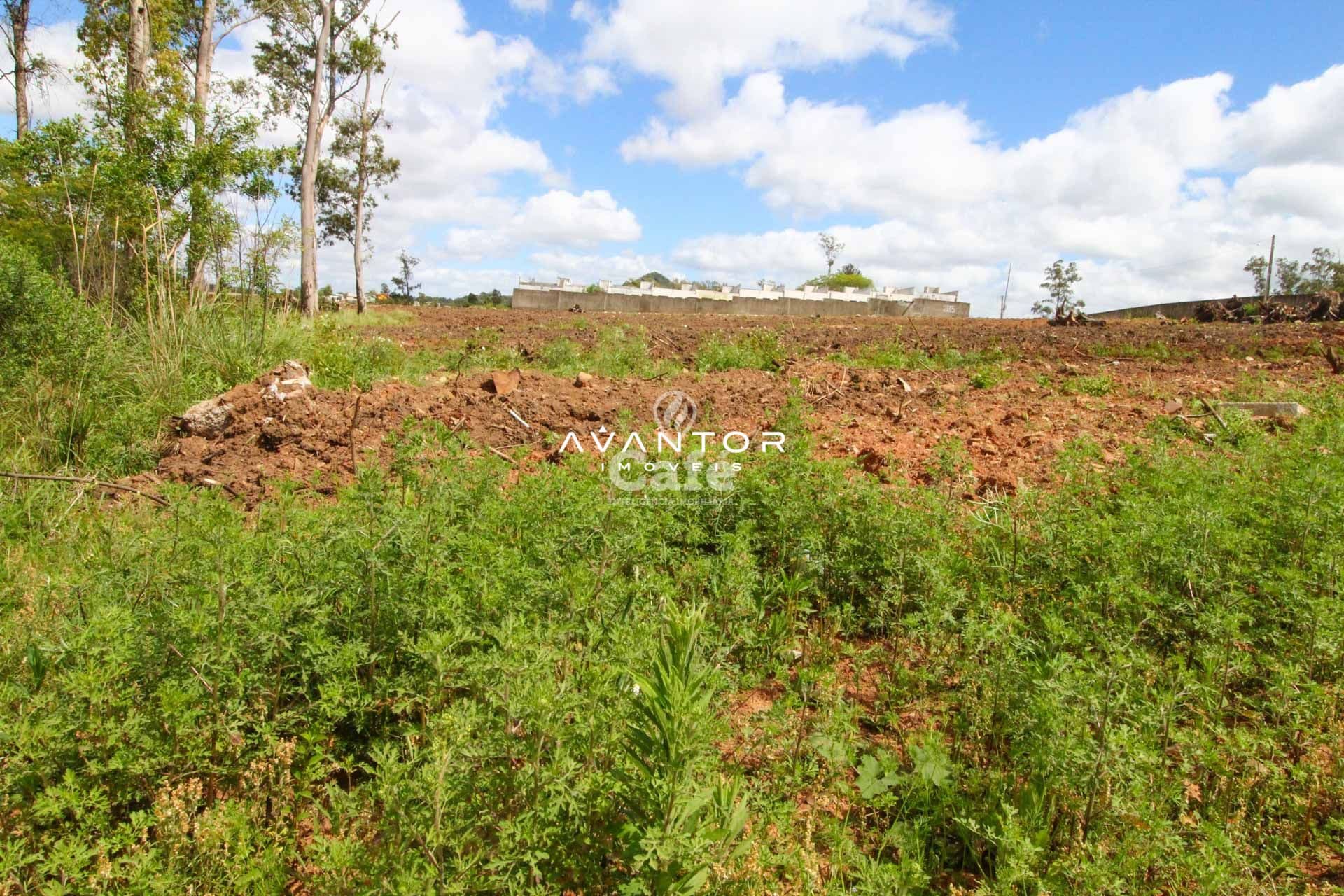 Terreno com vegetação e árvores — Terreno à venda em Diácono João Luiz Pozzobon, Santa Maria/RS