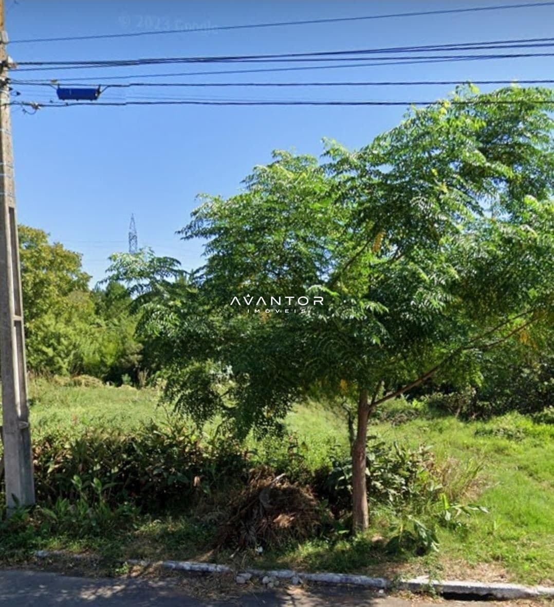 Terreno com vegetação e vista da paisagem — Terreno à venda em São José, Santa Maria/RS