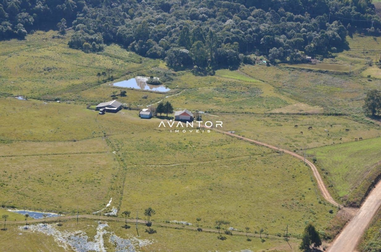 Fazenda com 3 quartos à venda em Britadeira, São Francisco de Paula/RS — foto 2 de 3