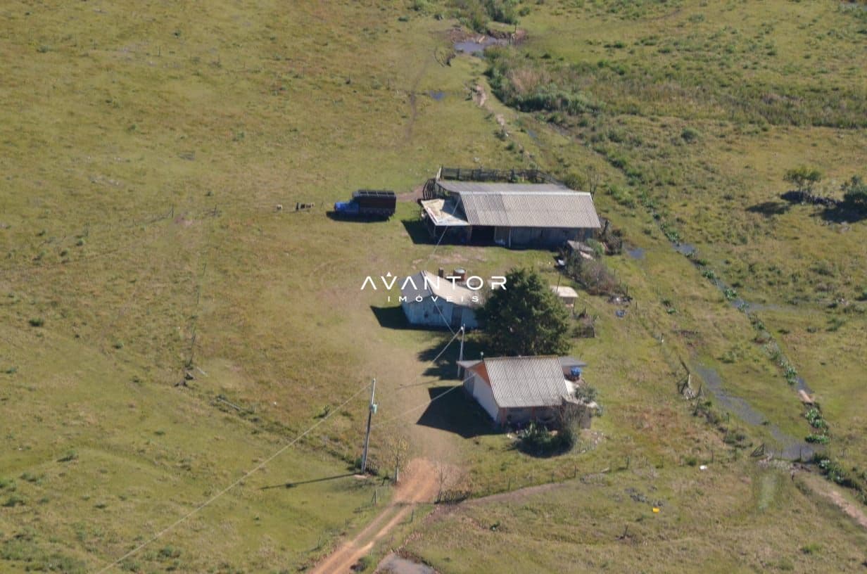 Fazenda com 3 quartos à venda em Britadeira, São Francisco de Paula/RS — foto 3 de 3