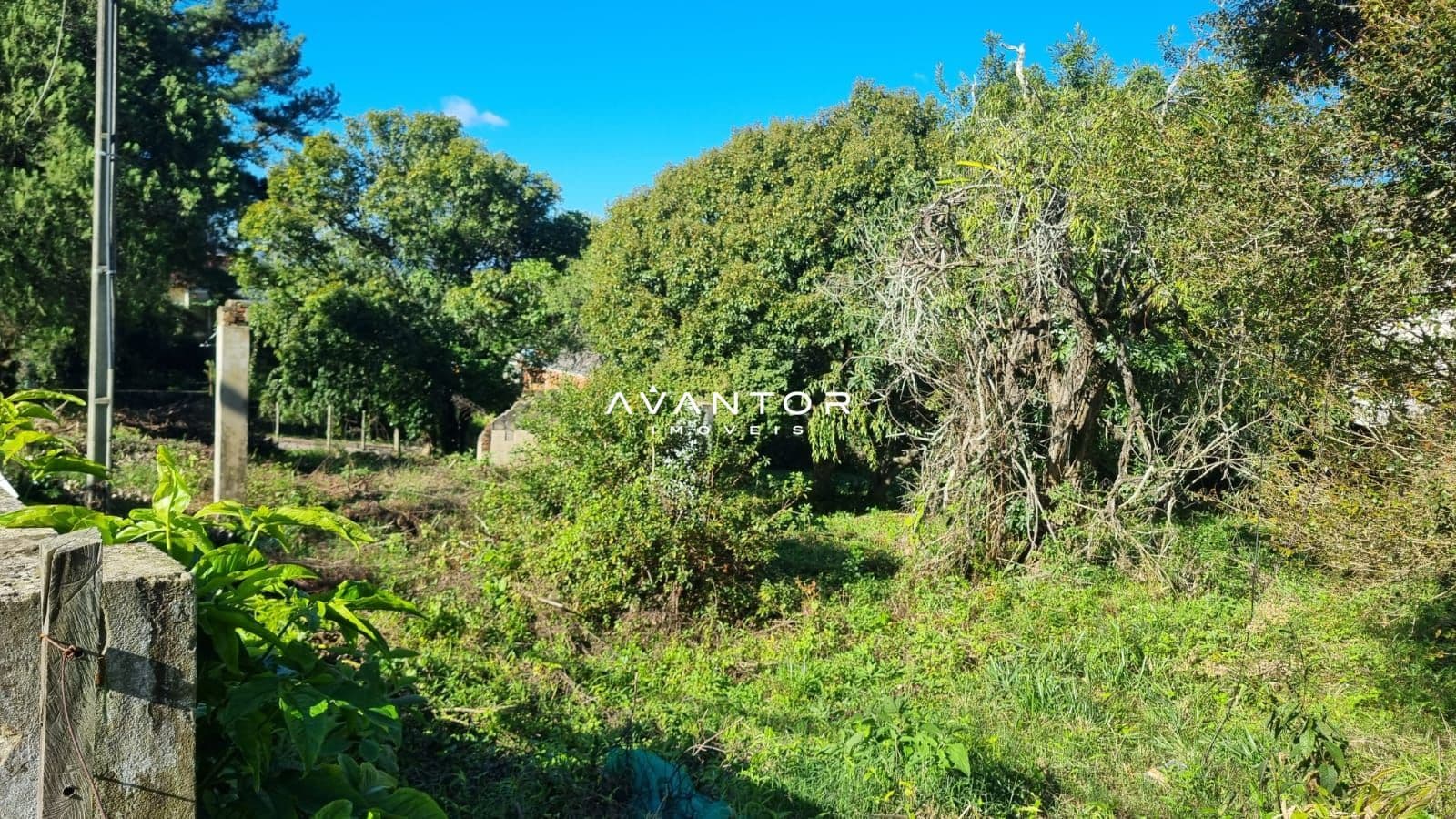 Terreno à venda em Km 3, Santa Maria/RS — foto 17 de 19