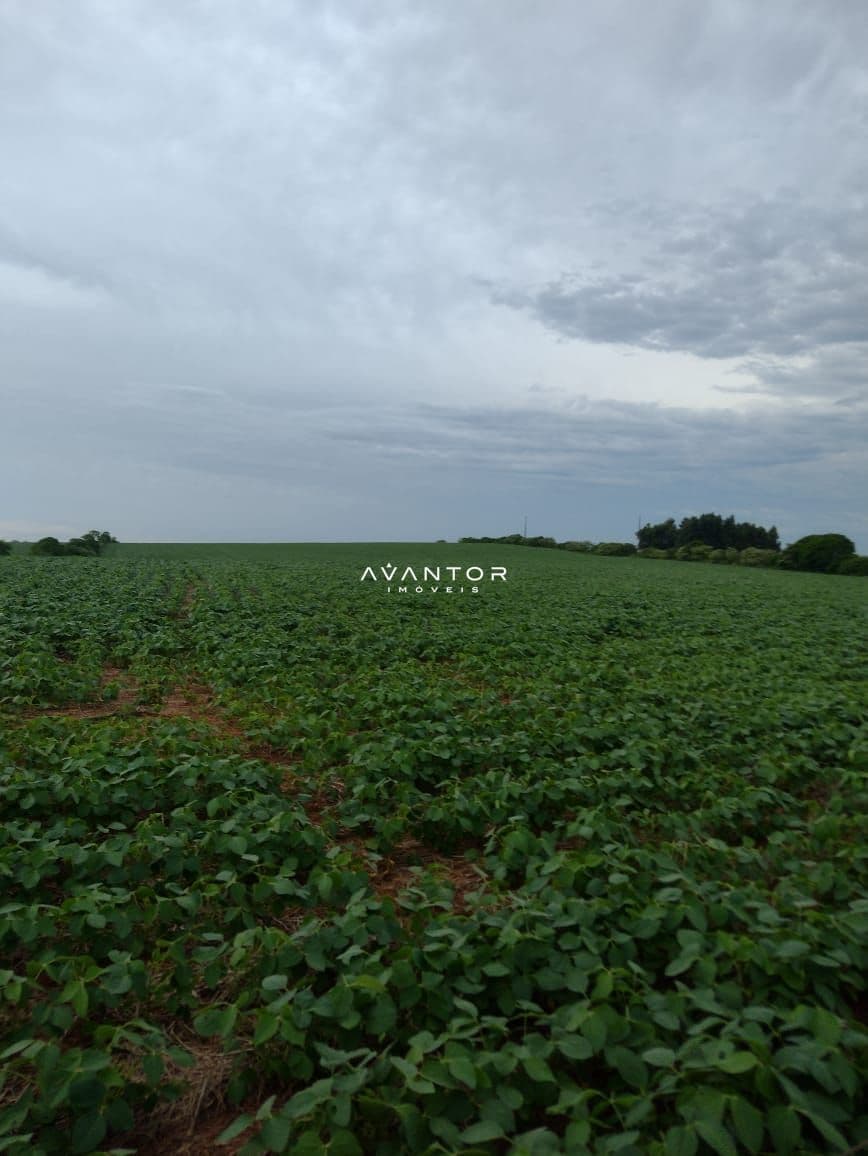 Campo à venda em Antônio Augusto de Oliveira Terra, Tupanciretã/RS — foto 3 de 4