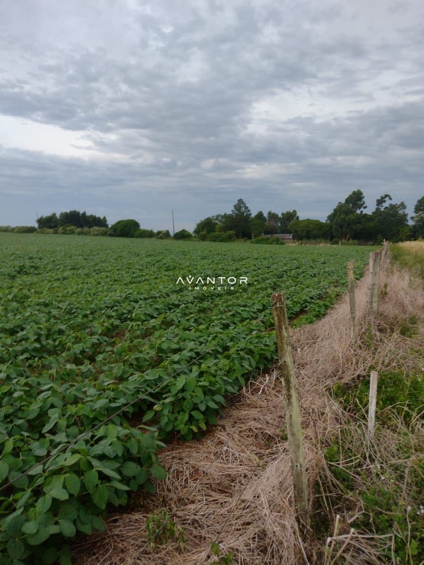 Campo à venda em Antônio Augusto de Oliveira Terra, Tupanciretã/RS — foto 4 de 4