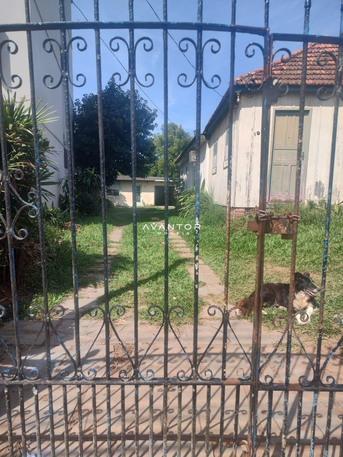 Terreno à venda em Nossa Senhora das Dores, Santa Maria/RS — foto 3 de 4