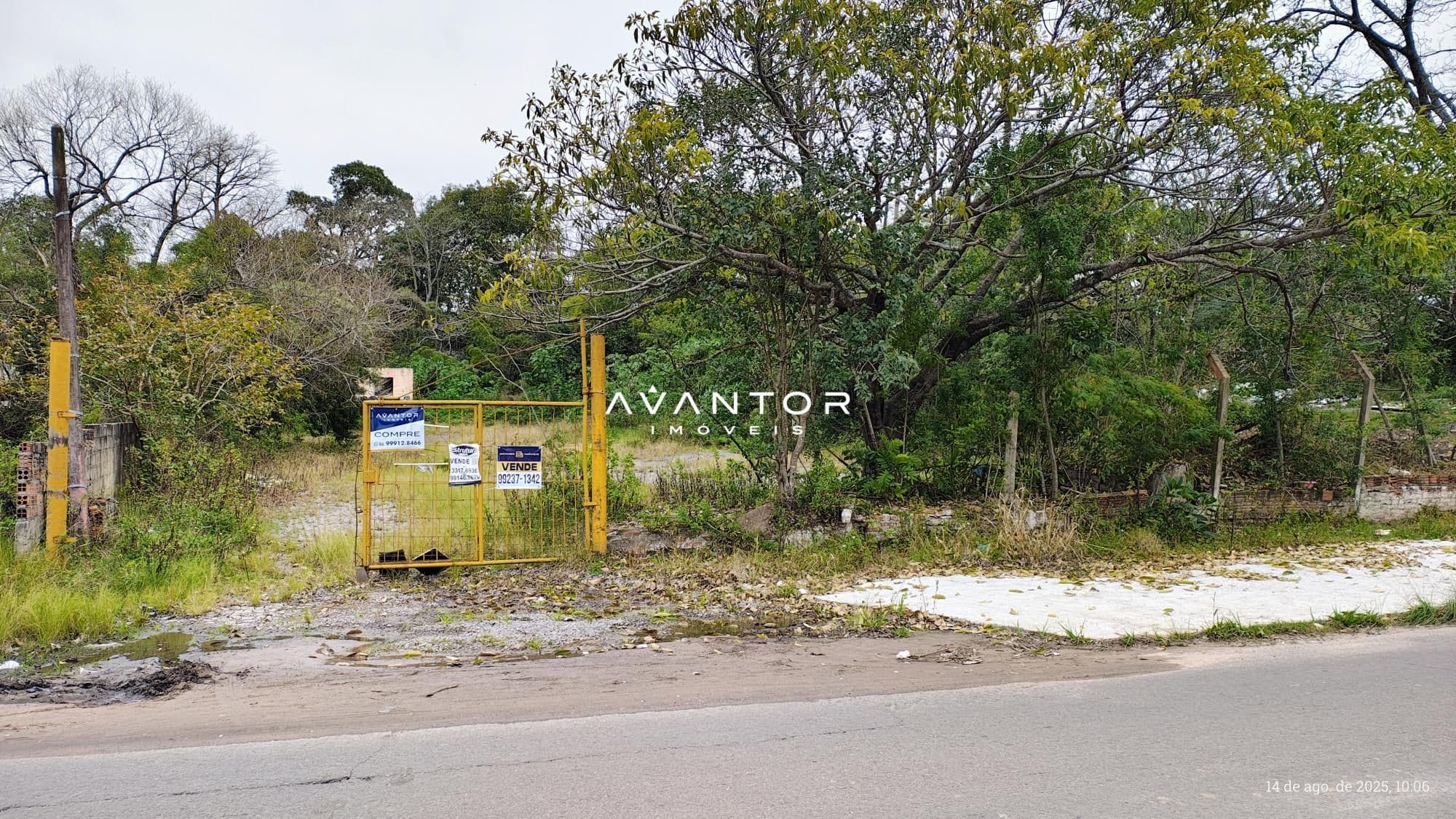Terreno com vegetação e acesso pela rua — Terreno à venda em Carolina, Santa Maria/RS