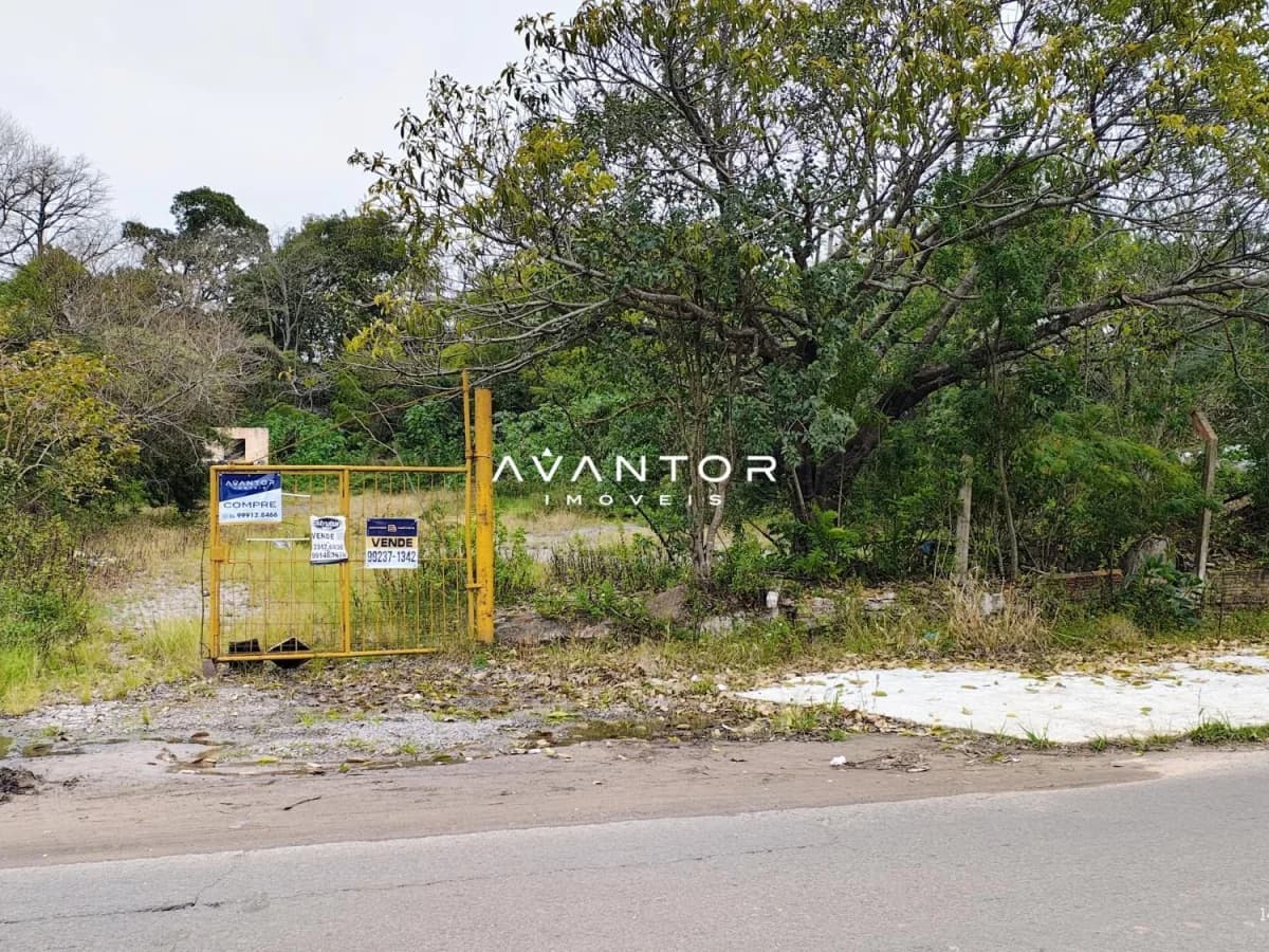 Terreno com vegetação e acesso pela rua — Terreno à venda em Carolina, Santa Maria/RS