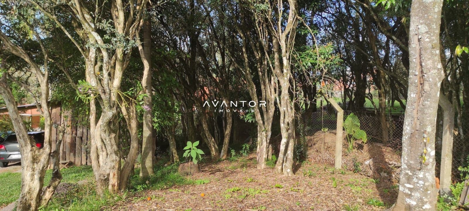 Terreno à venda em Parque Serrano I, Itaara/RS — foto 5 de 7