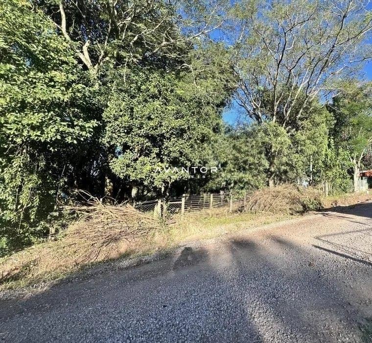 Terreno com árvores nativas — Terreno à venda em Parque Serrano I, Itaara/RS