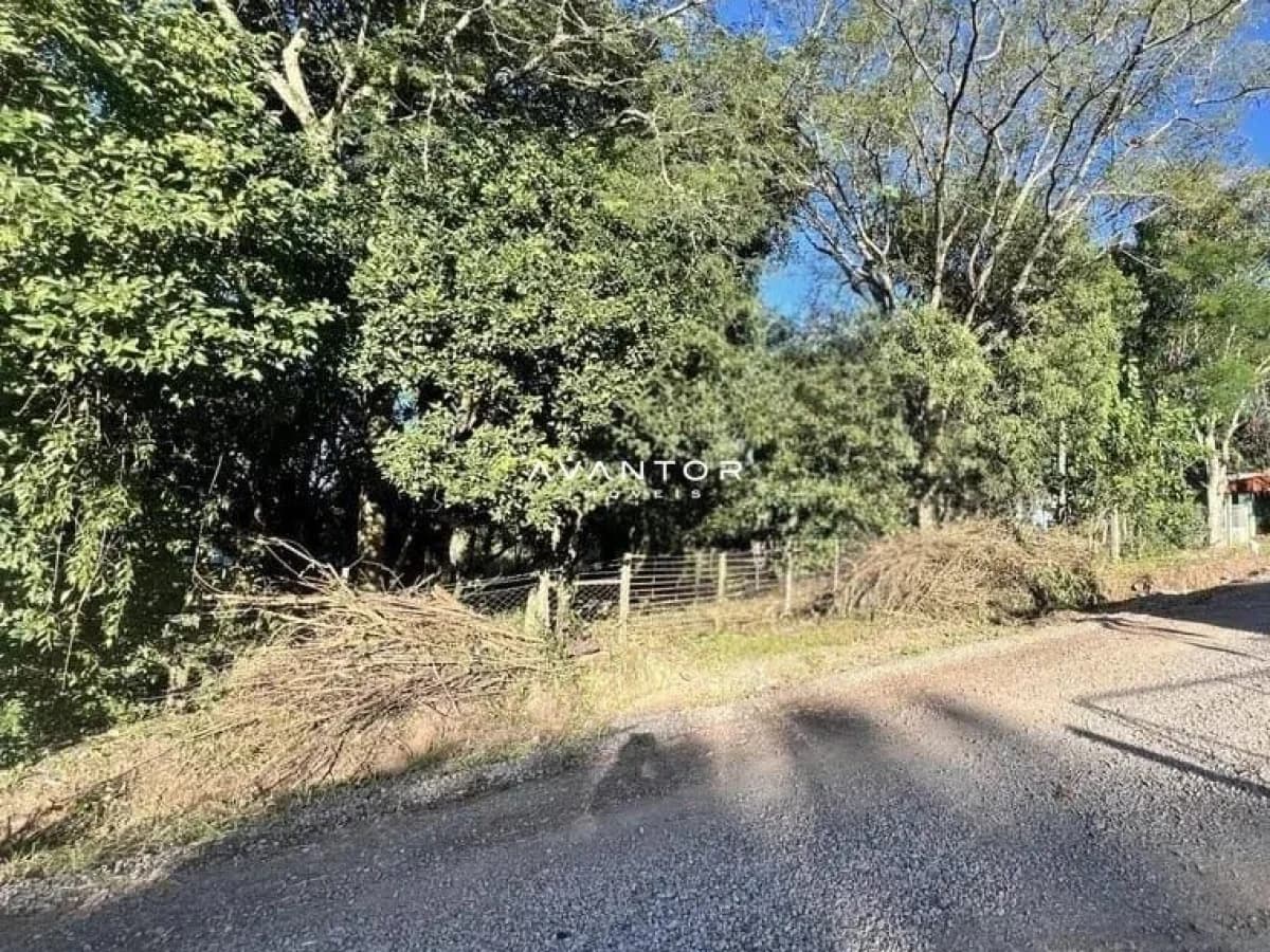 Terreno com árvores nativas — Terreno à venda em Parque Serrano I, Itaara/RS
