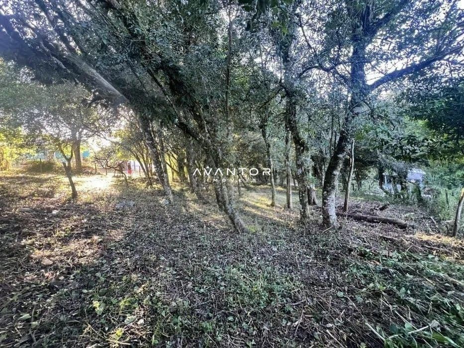 Terreno à venda em Parque Serrano I, Itaara/RS — foto 2 de 4