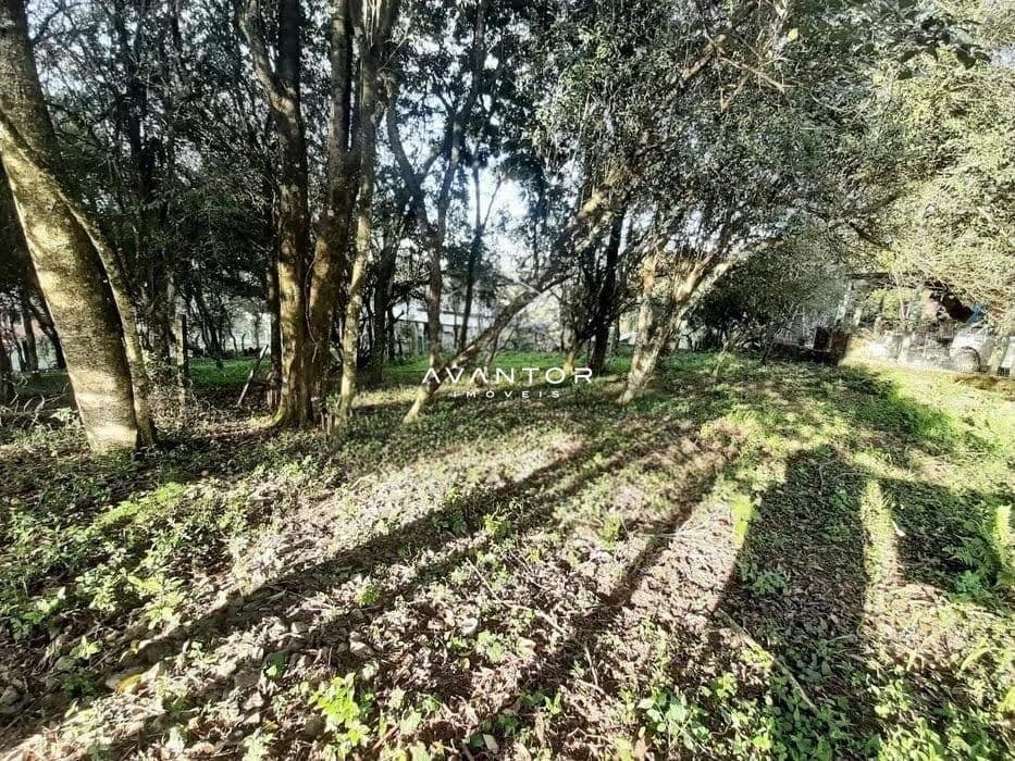 Terreno à venda em Parque Serrano I, Itaara/RS — foto 4 de 4