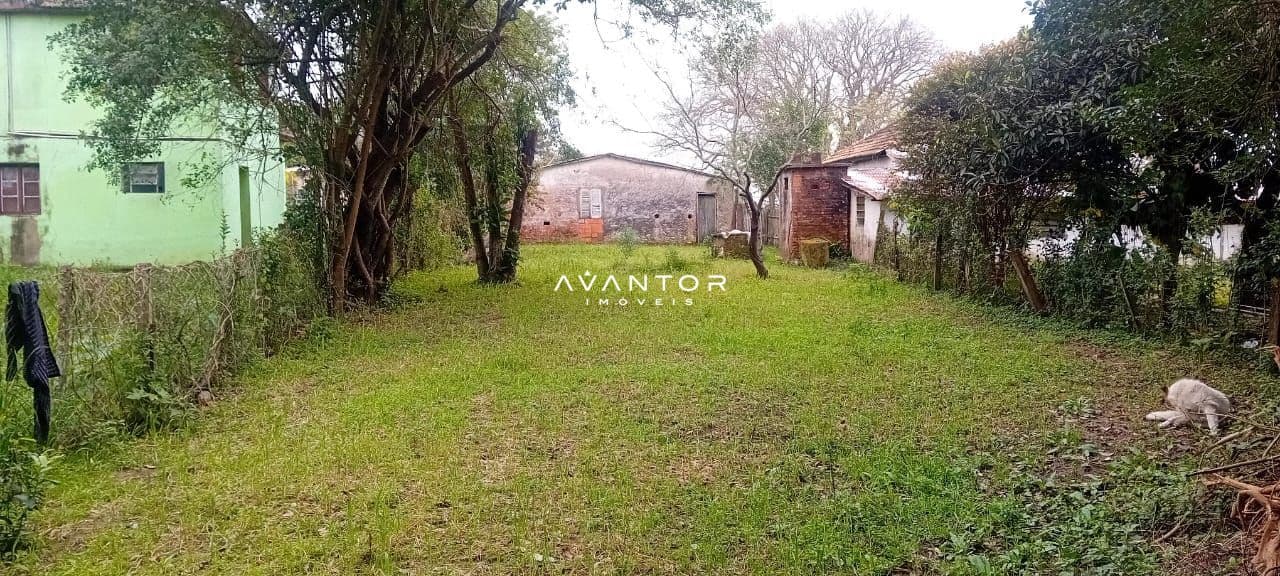 Terreno com árvores e construções — Terreno com 2 quartos à venda em Interior, Dilermando de Aguiar/RS