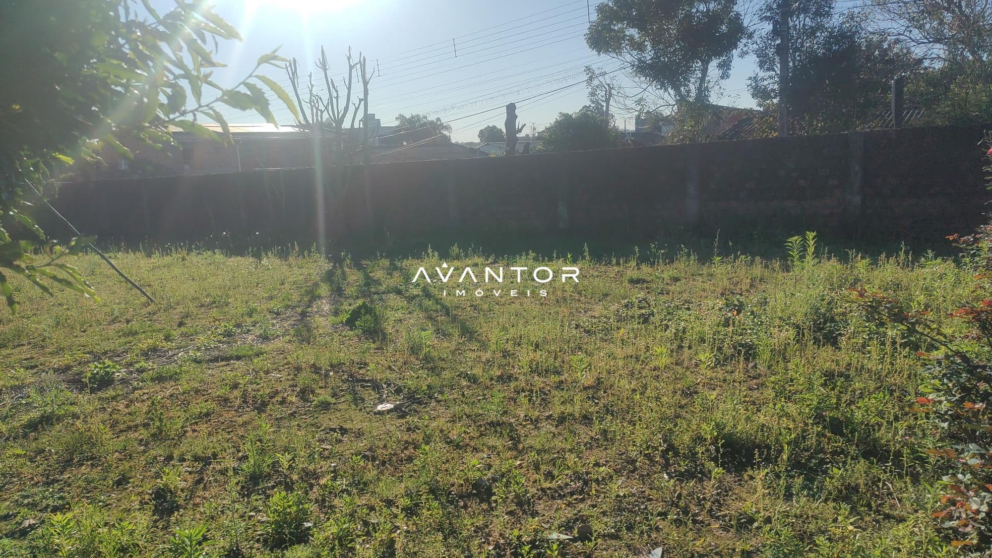 Terreno à venda em Urlândia, Santa Maria/RS — foto 5 de 6