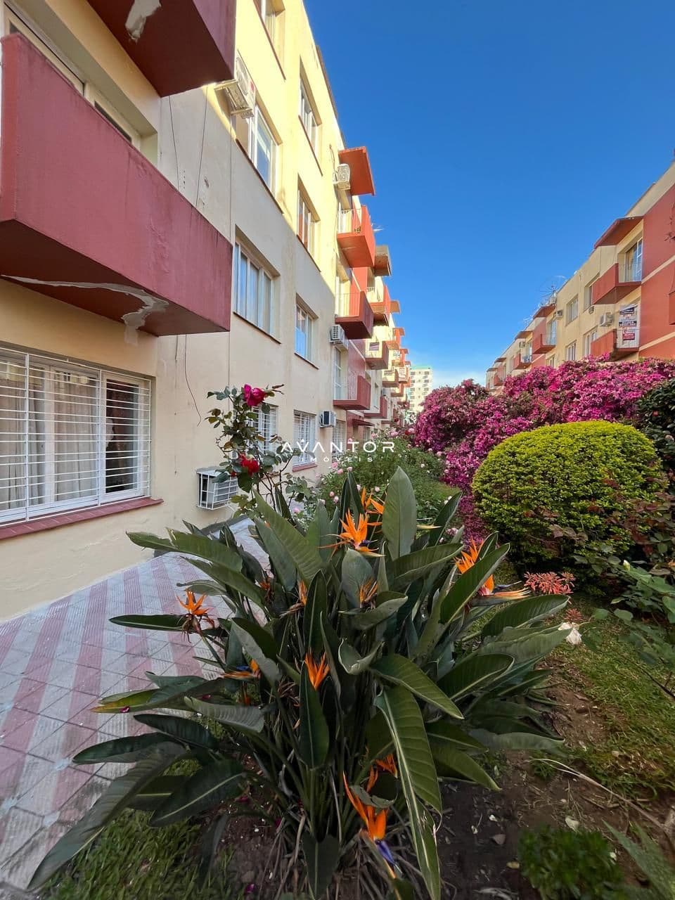 Pátio com plantas e flores — Apartamento com 3 quartos à venda em Centro, Santa Maria/RS
