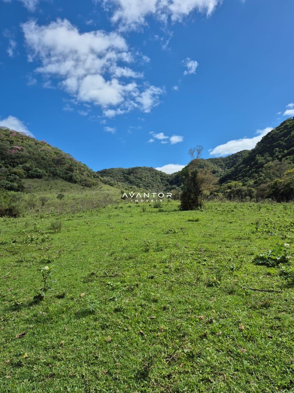 Campo à venda em Zona rural, São Martinho da Serra/RS