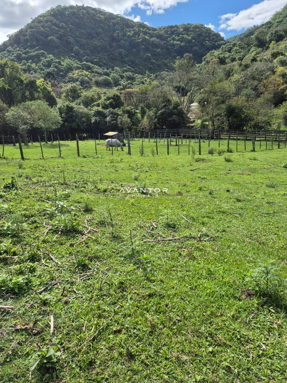 Campo à venda em Zona rural, São Martinho da Serra/RS — foto 4 de 10