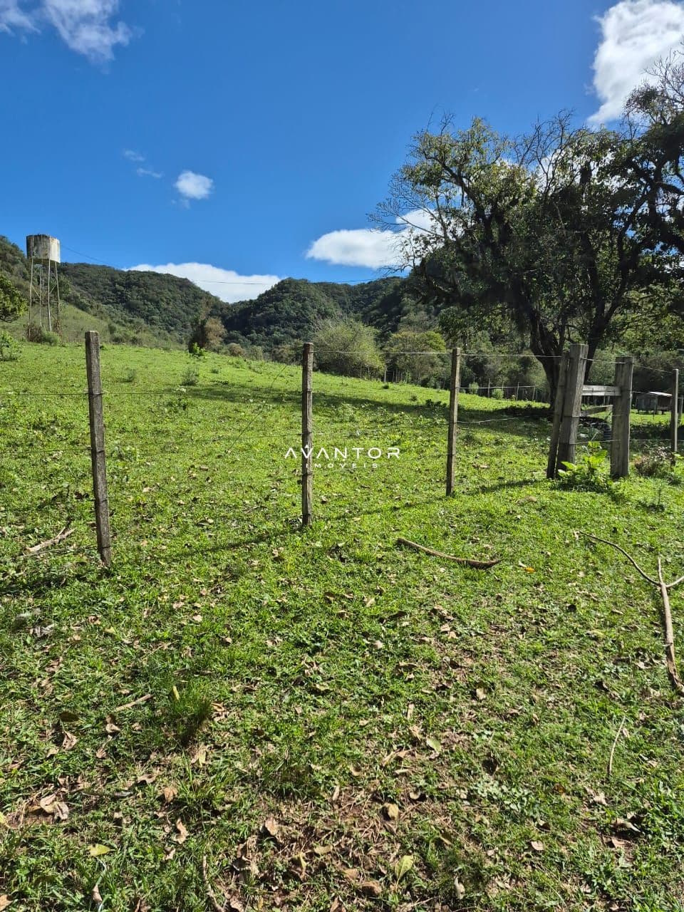 Campo à venda em Zona rural, São Martinho da Serra/RS — foto 5 de 10