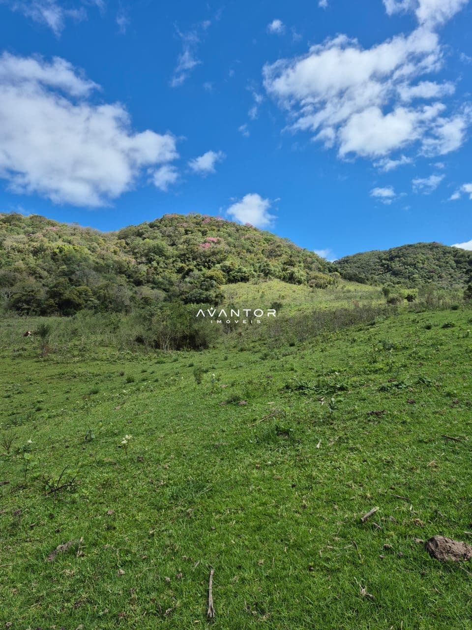Campo à venda em Zona rural, São Martinho da Serra/RS — foto 6 de 10