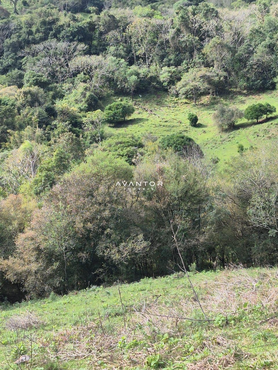 Campo à venda em Zona rural, São Martinho da Serra/RS — foto 9 de 10