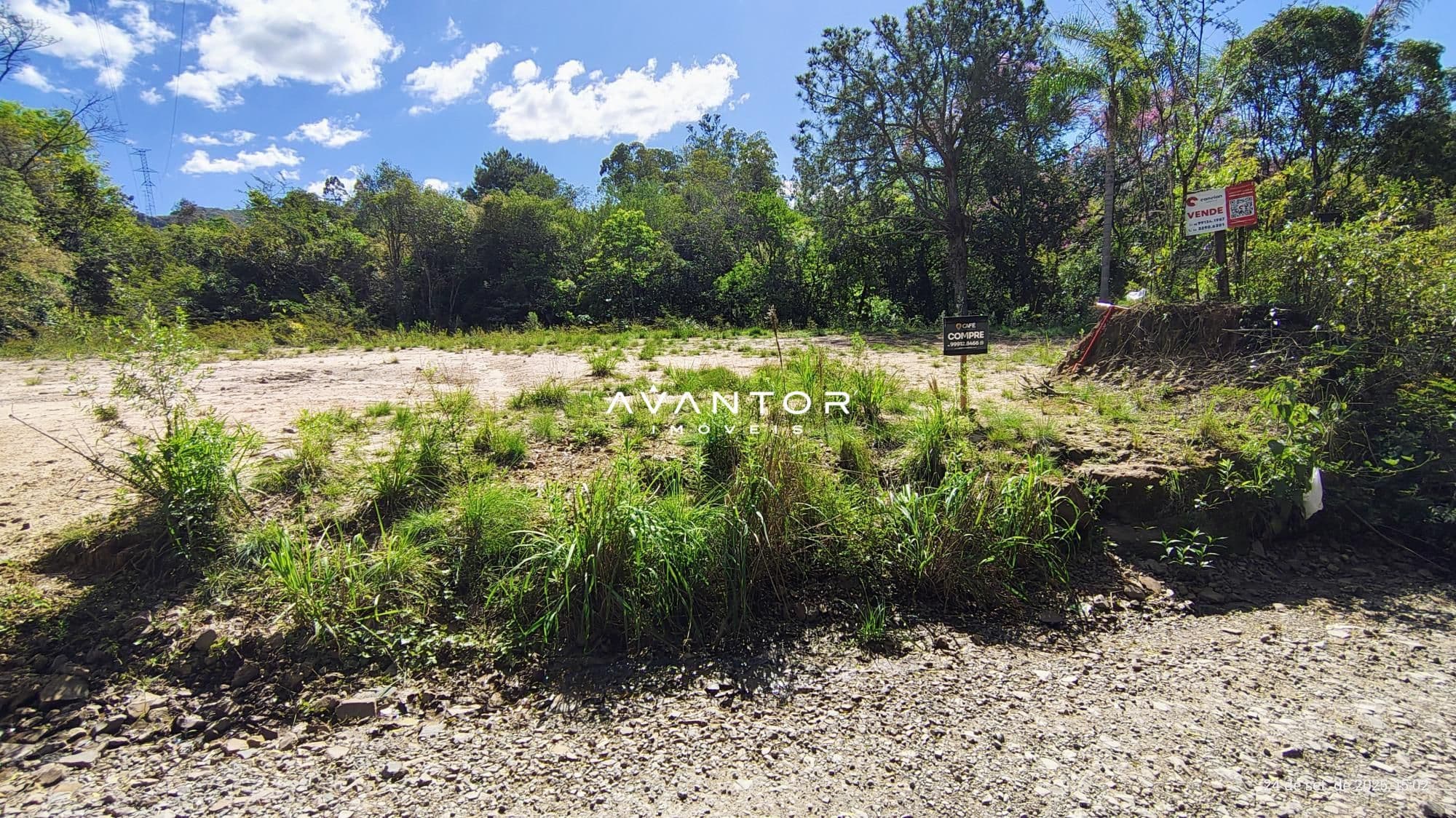 Terreno com vegetação e mata ao fundo — Terreno à venda em Campestre do Menino Deus, Santa Maria/RS