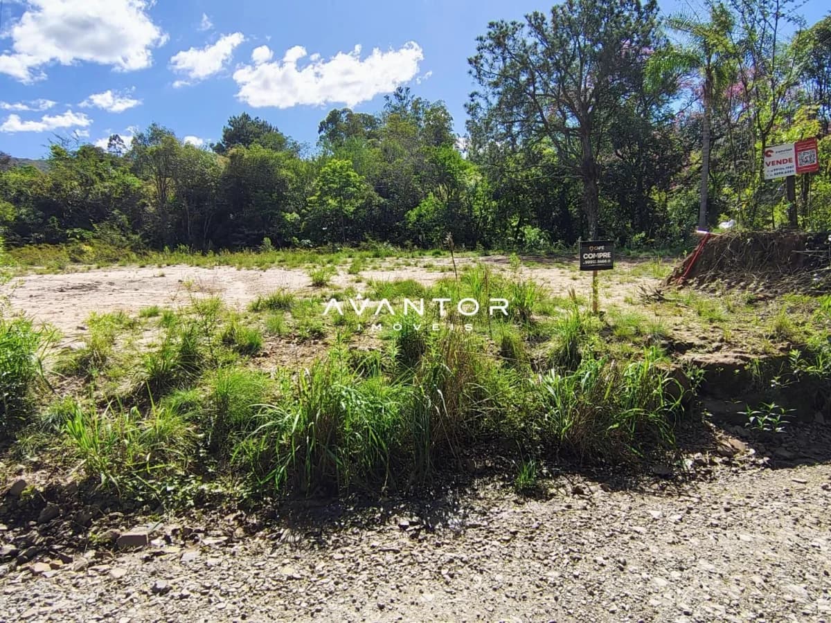 Terreno com vegetação e mata ao fundo — Terreno à venda em Campestre do Menino Deus, Santa Maria/RS