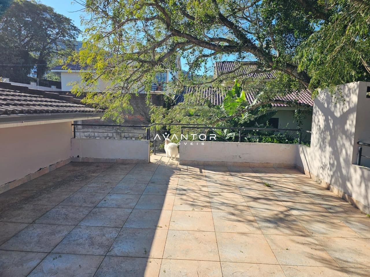Casa com 3 quartos à venda em Nossa Senhora do Perpétuo Socorro, Santa Maria/RS — foto 4 de 18