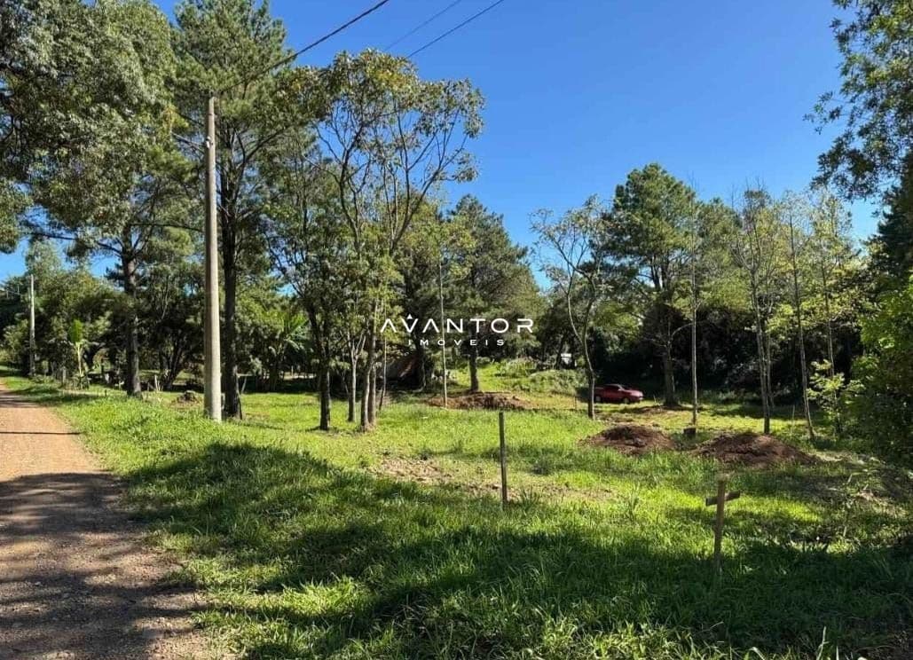 Terreno com árvores e acesso via caminho — Terreno à venda em Etelvina, Itaara/RS