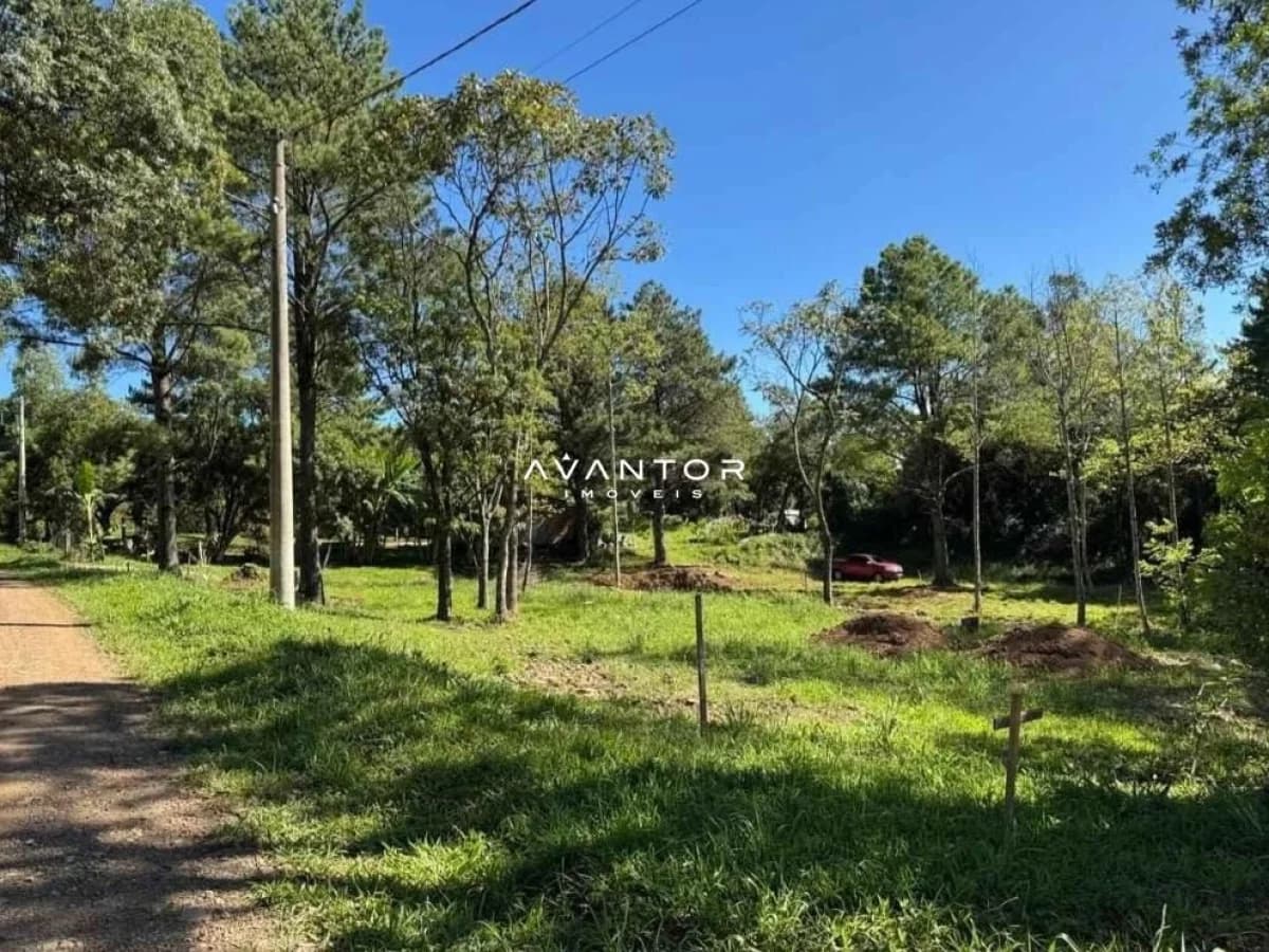 Terreno com árvores e acesso via caminho — Terreno à venda em Etelvina, Itaara/RS