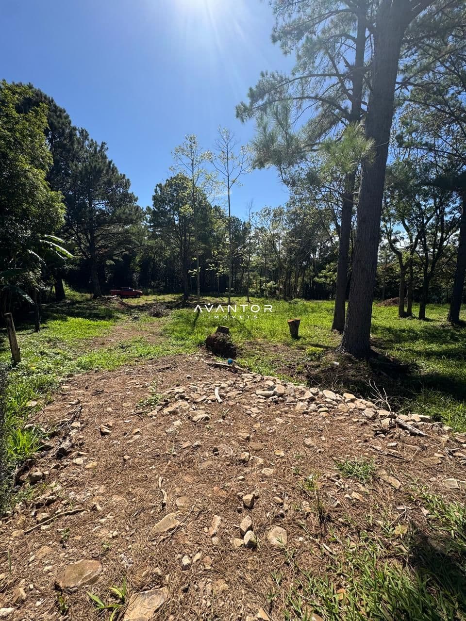 Terreno à venda em Etelvina, Itaara/RS — foto 7 de 9