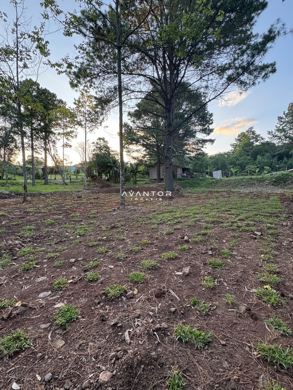 Terreno à venda em Etelvina, Itaara/RS — foto 8 de 9
