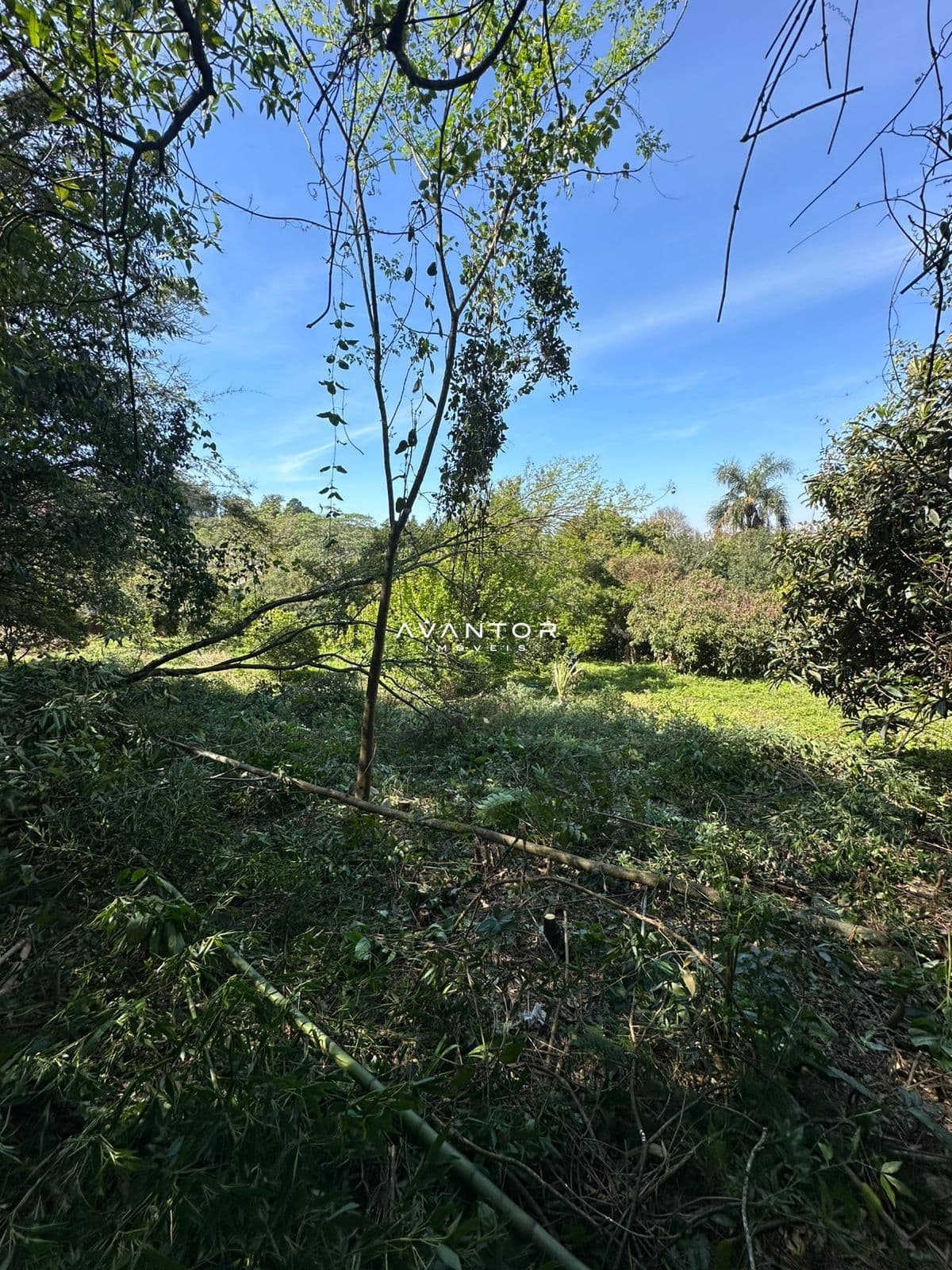 Chácara à venda em Nossa Senhora do Perpétuo Socorro, Santa Maria/RS — foto 3 de 16