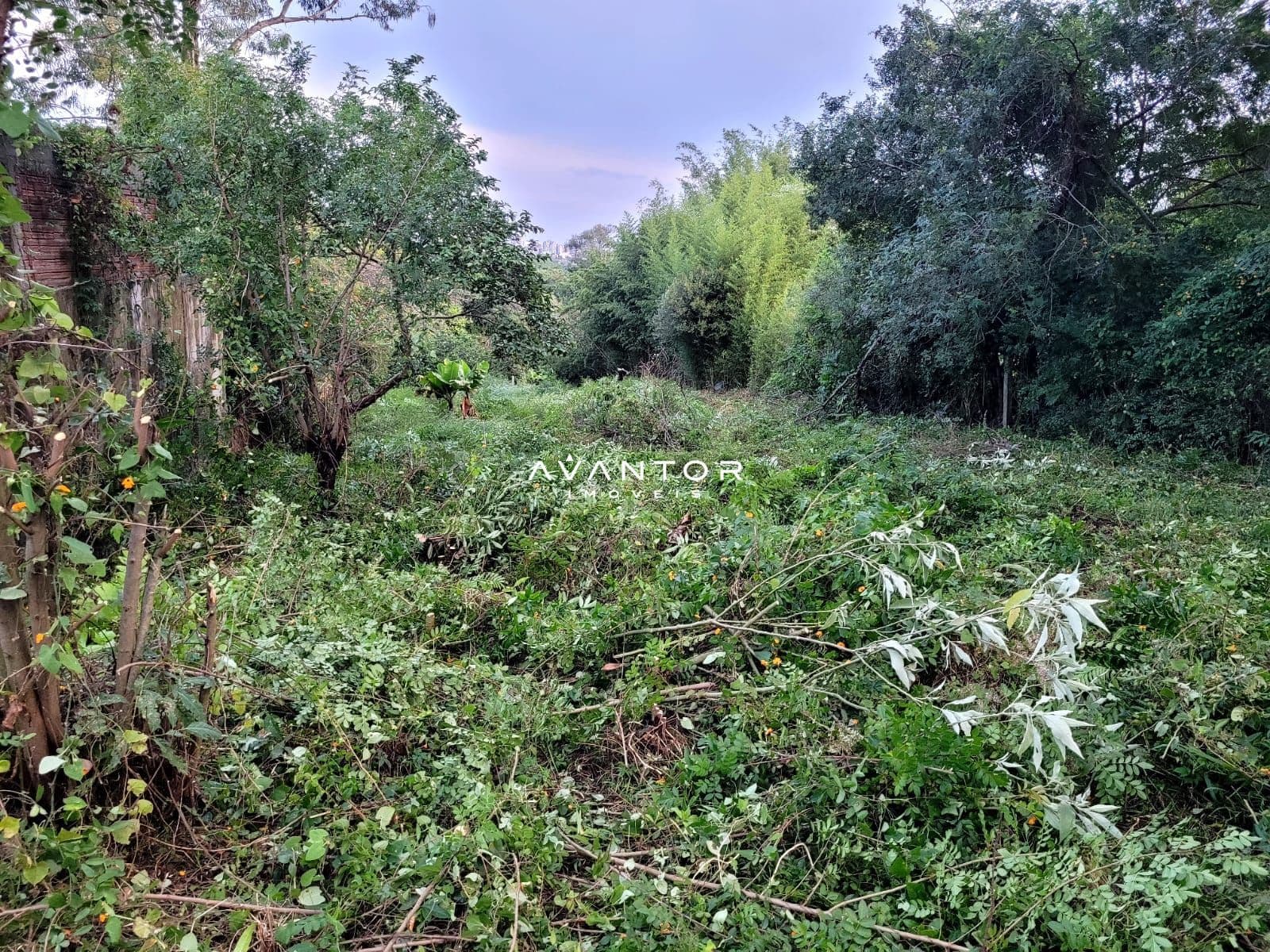 Chácara à venda em Nossa Senhora do Perpétuo Socorro, Santa Maria/RS — foto 4 de 16