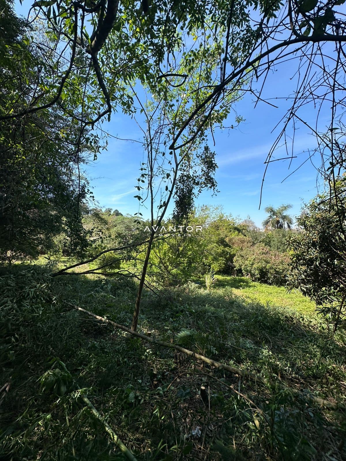 Chácara à venda em Nossa Senhora do Perpétuo Socorro, Santa Maria/RS — foto 6 de 16