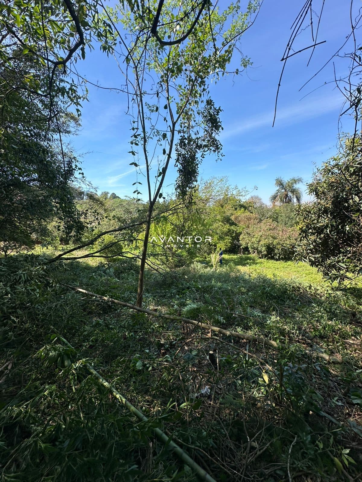 Chácara à venda em Nossa Senhora do Perpétuo Socorro, Santa Maria/RS — foto 7 de 16