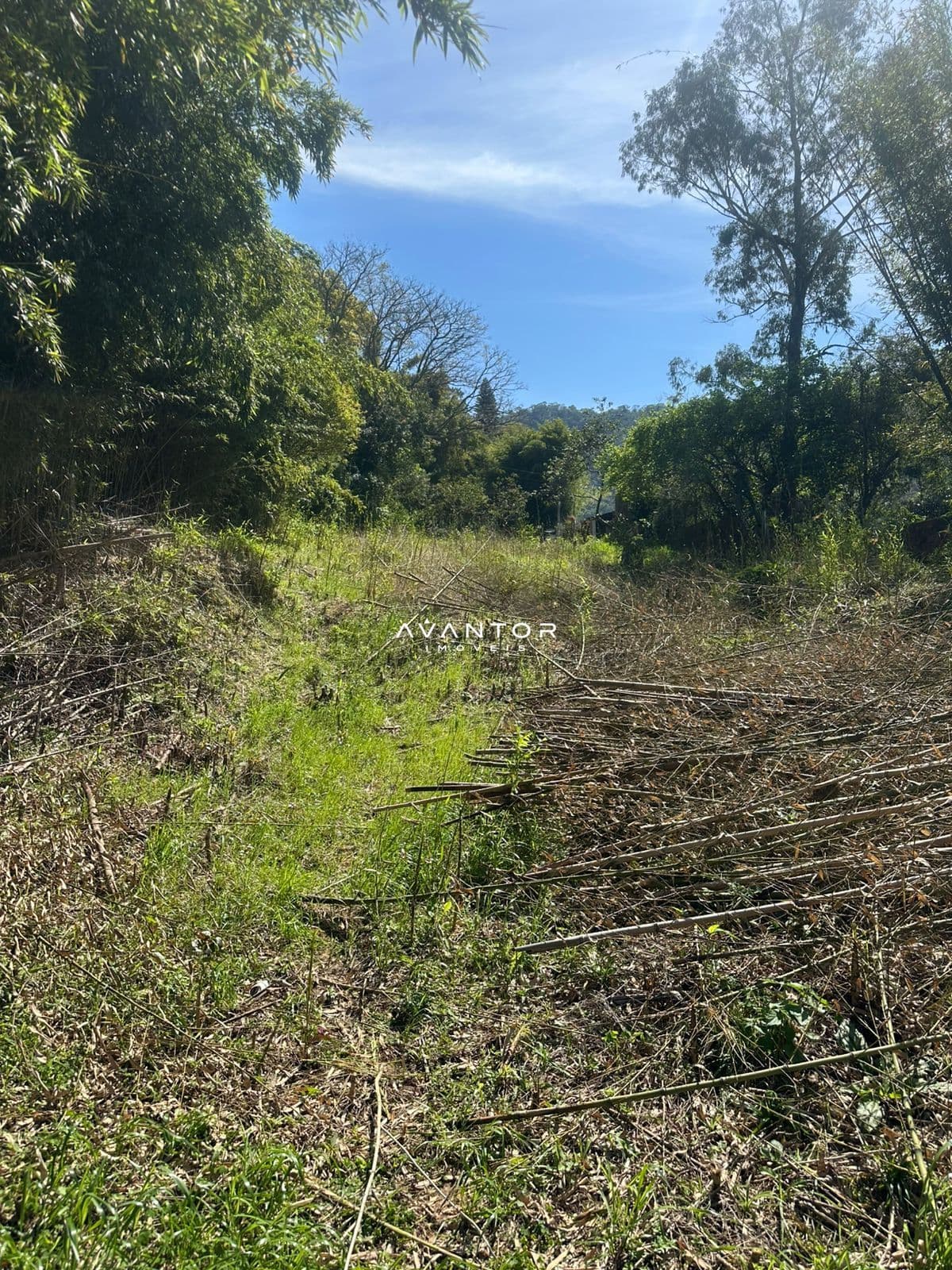 Chácara à venda em Nossa Senhora do Perpétuo Socorro, Santa Maria/RS — foto 11 de 16