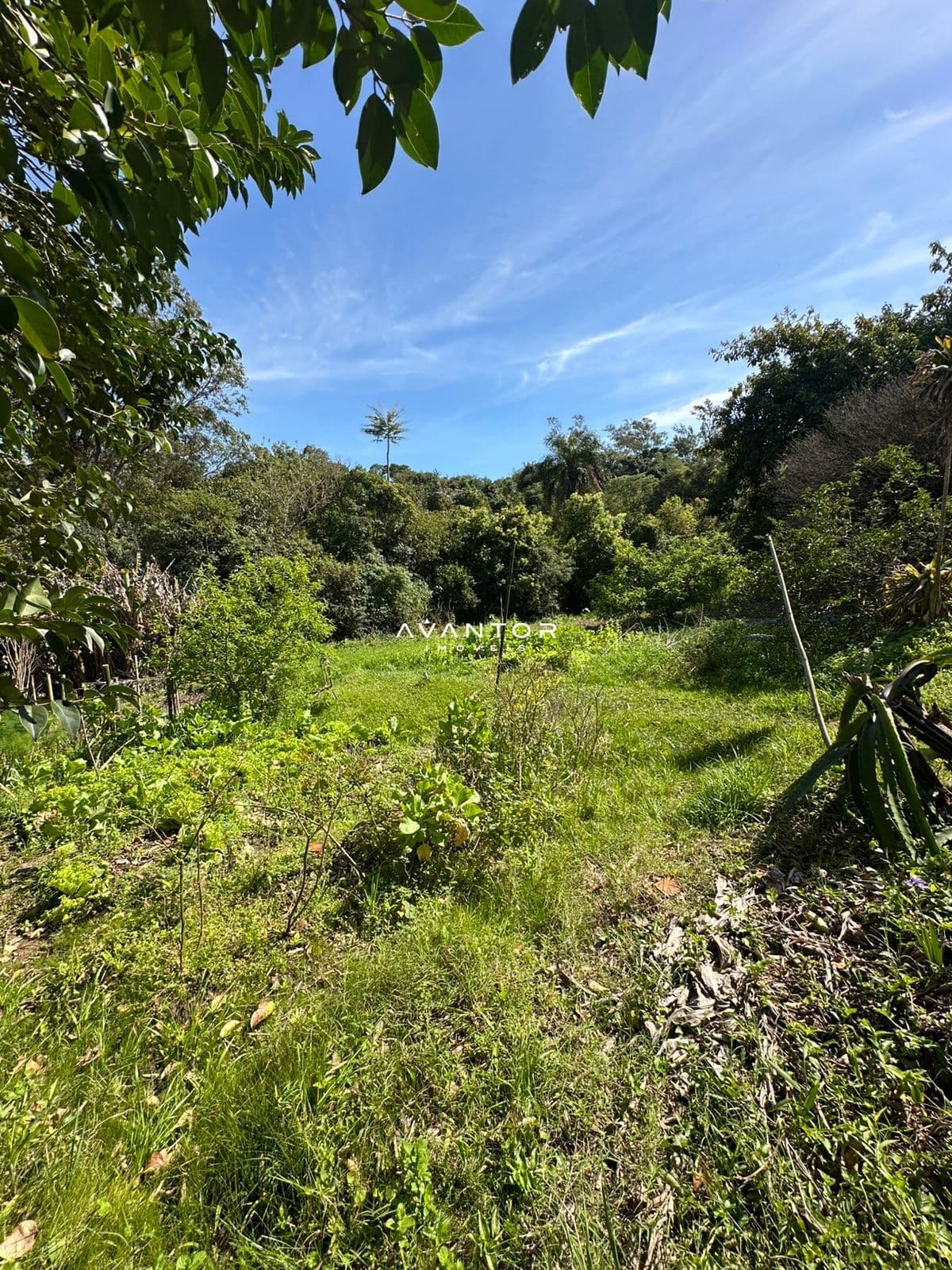 Chácara à venda em Nossa Senhora do Perpétuo Socorro, Santa Maria/RS — foto 12 de 16