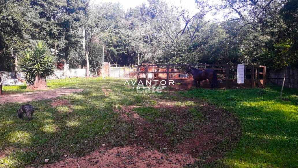 Terreno com árvores e estrutura de madeira — Terreno à venda em Cerrito, Santa Maria/RS