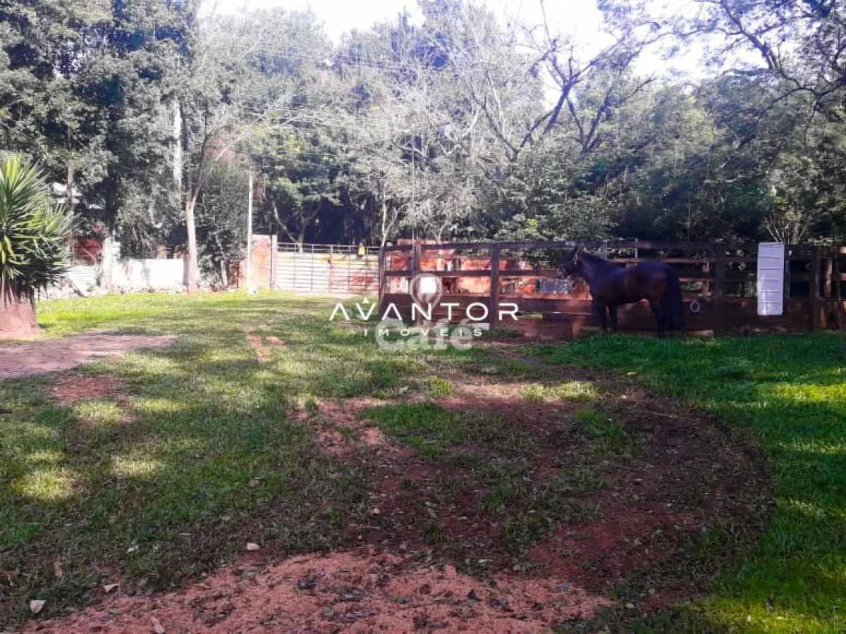 Terreno com árvores e estrutura de madeira — Terreno à venda em Cerrito, Santa Maria/RS