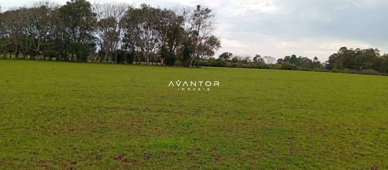 Campo à venda em Camobi, Santa Maria/RS — foto 6 de 10