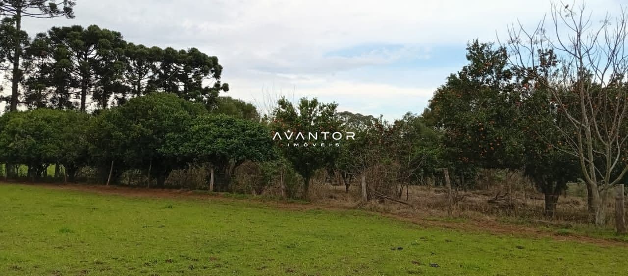 Campo à venda em Camobi, Santa Maria/RS — foto 9 de 10