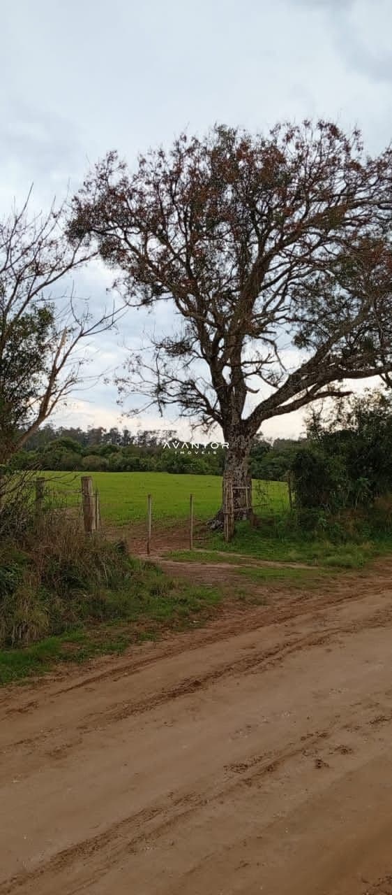 Campo à venda em Camobi, Santa Maria/RS — foto 10 de 10