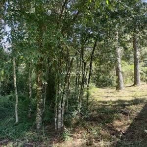 Terreno à venda no Residencial Alto da Serra, em Parque Serrano I, Itaara/RS — foto 7 de 7