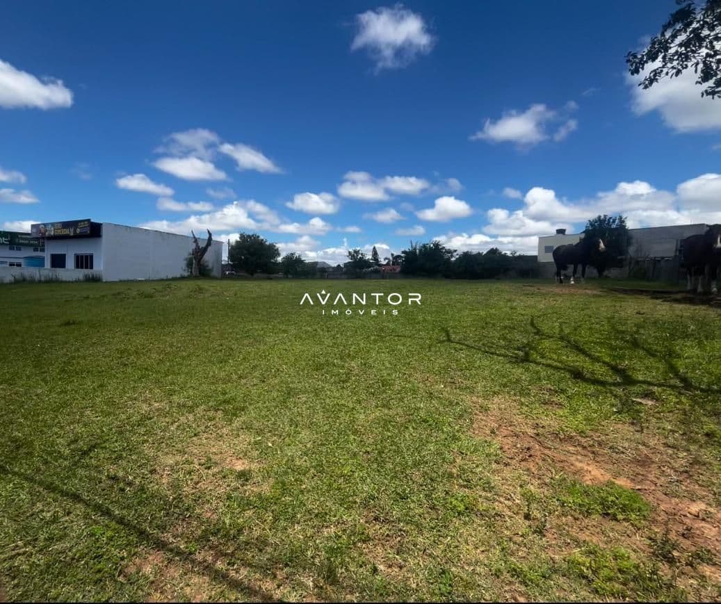 Terreno com construções ao fundo — Terreno à venda em Camobi, Santa Maria/RS