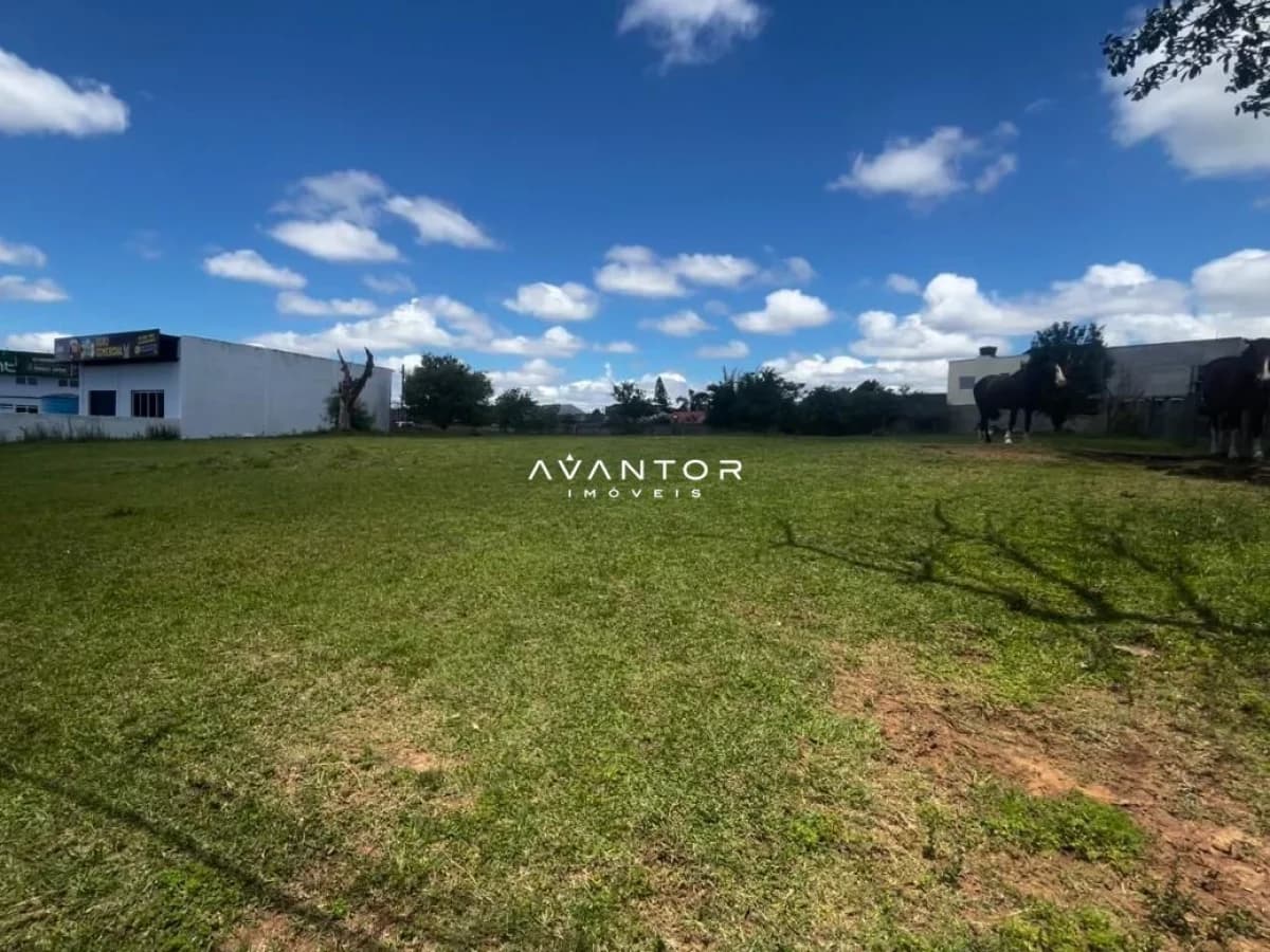 Terreno com construções ao fundo — Terreno à venda em Camobi, Santa Maria/RS