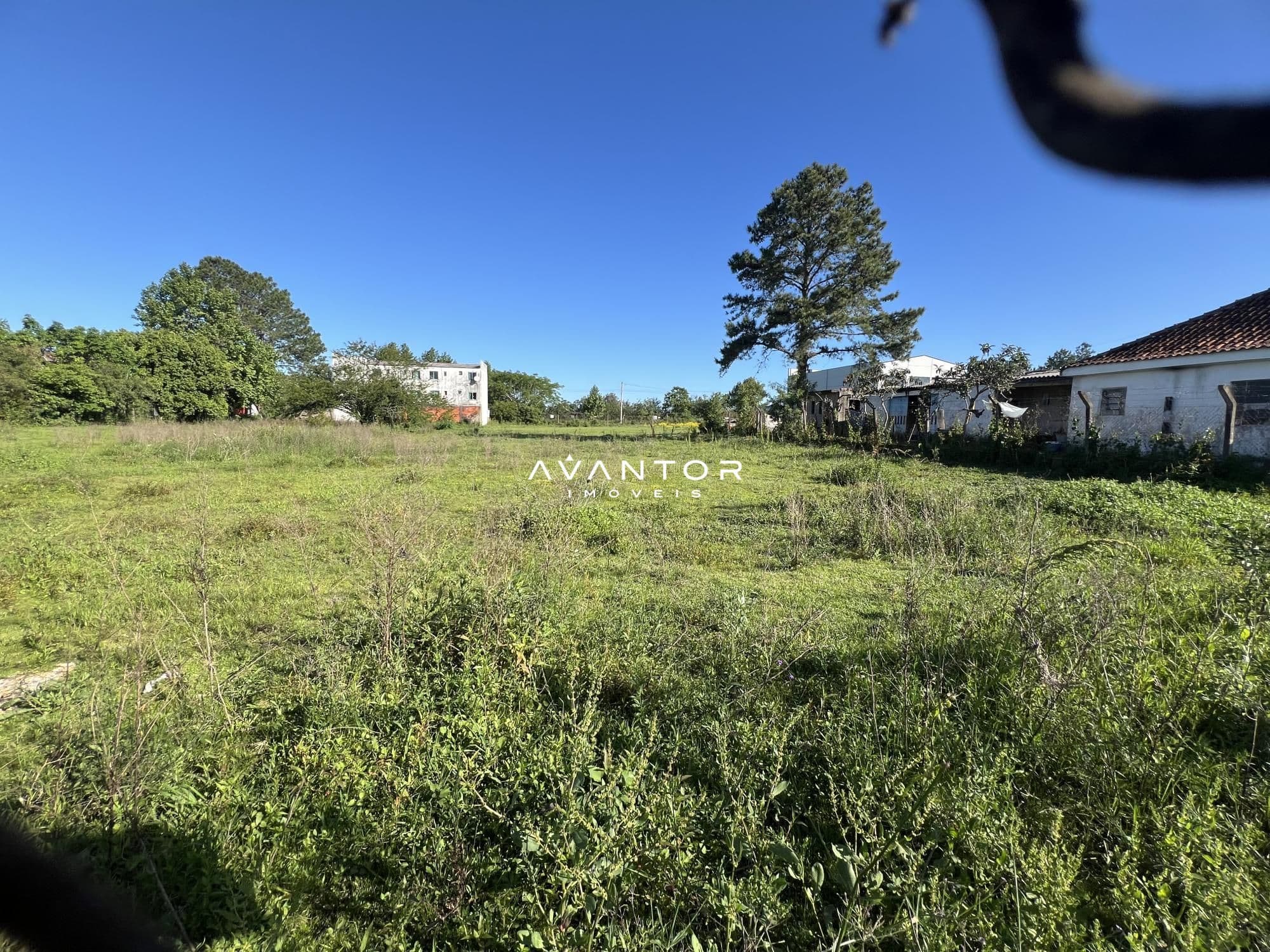 Terreno com vegetação e construções ao fundo — Terreno à venda em Tomazetti, Santa Maria/RS