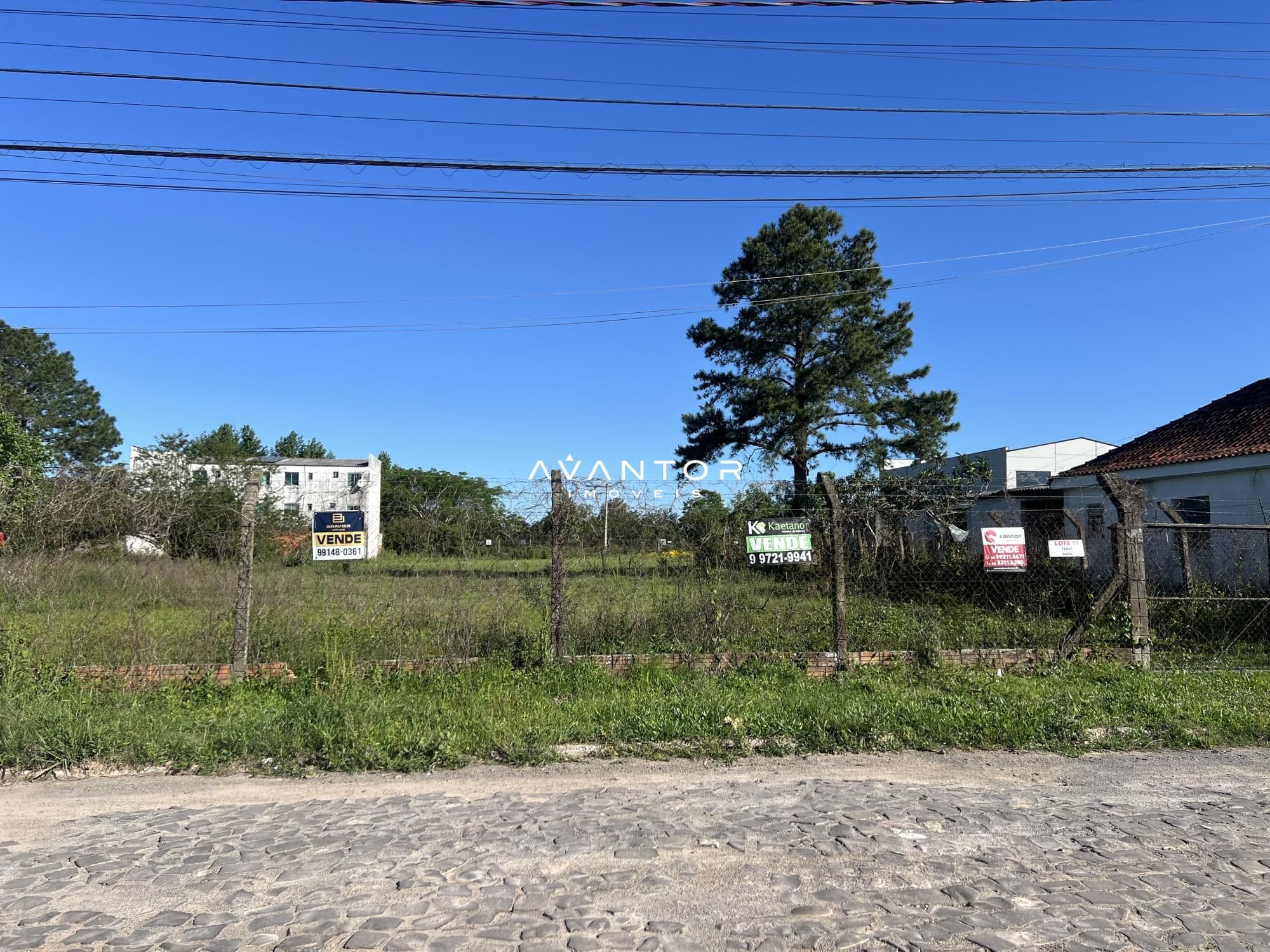 Terreno à venda em Tomazetti, Santa Maria/RS — foto 3 de 4