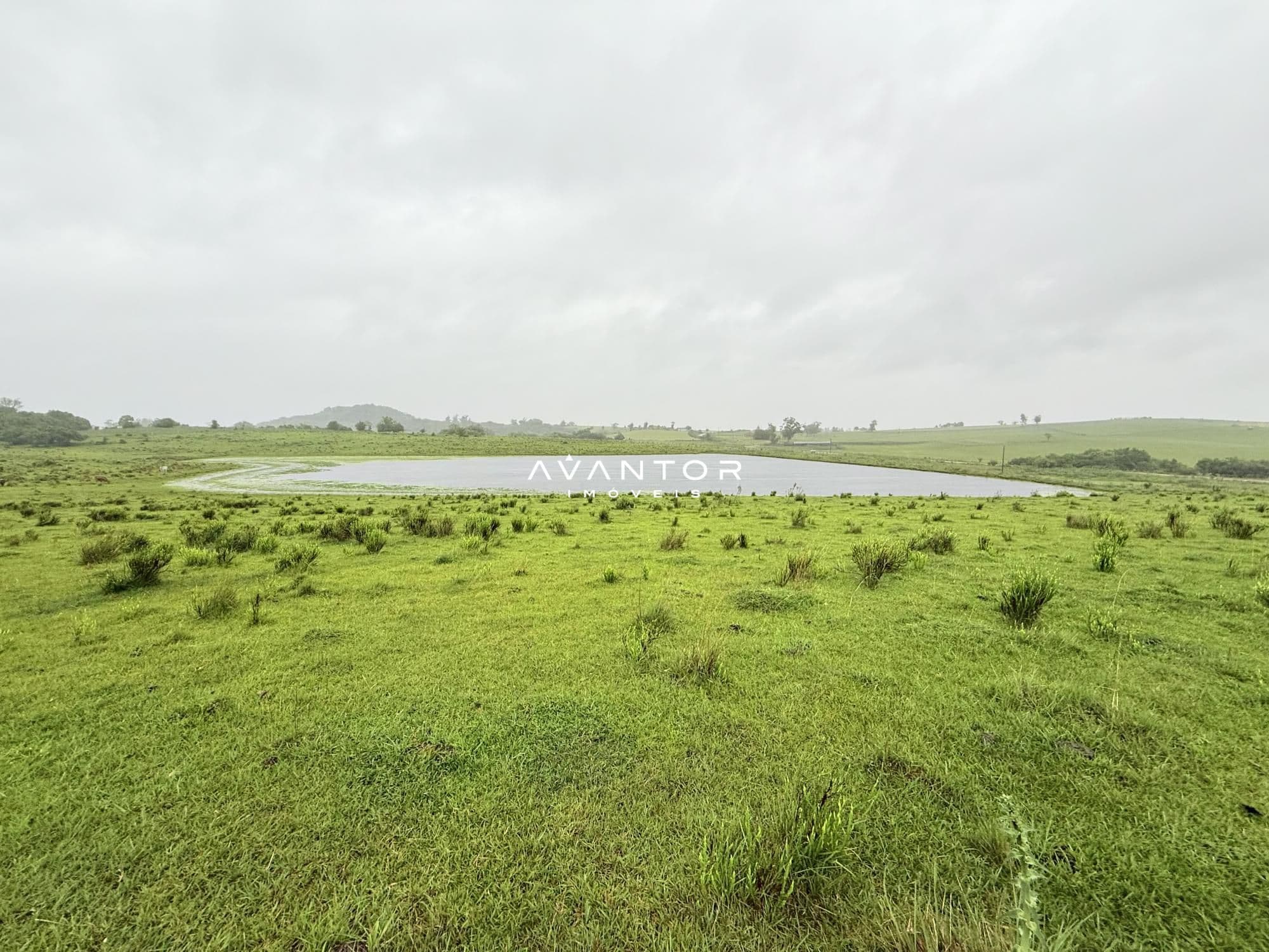 Campo à venda em Interior, Dilermando de Aguiar/RS
